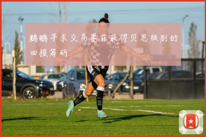 鹈鹕寻求交易墨菲获得贝恩级别的回报筹码