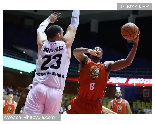 NBL今日战报：石家庄翔蓝险胜山东蜜獾张家口体文旅遭长沙勇胜逆转